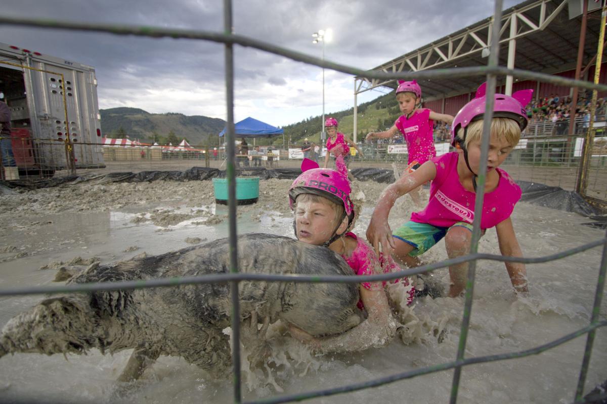 Pigs rule in mud | Teton County Fair | jhnewsandguide.com