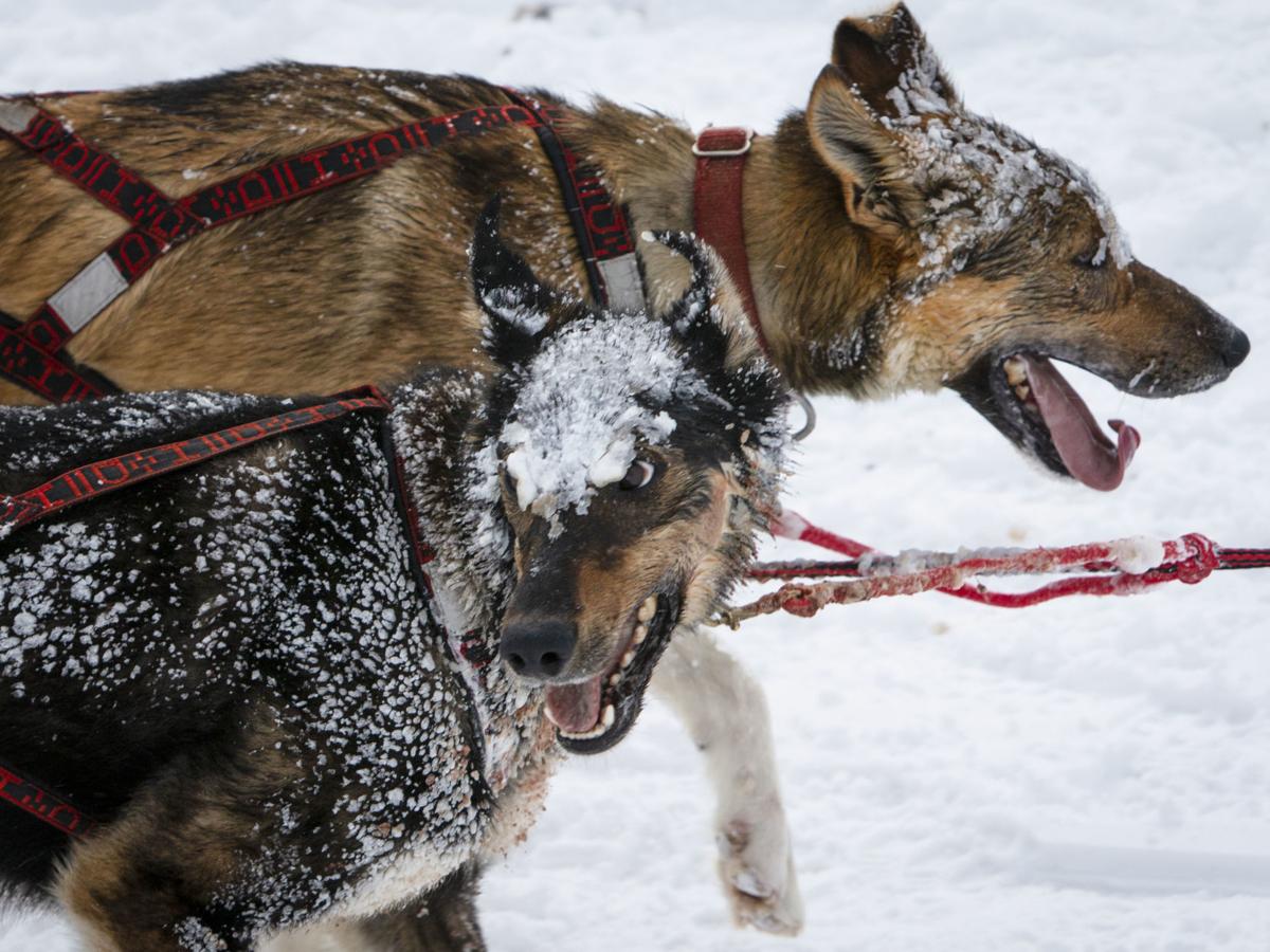 Stage Stop Race wraps up at Slide Lake