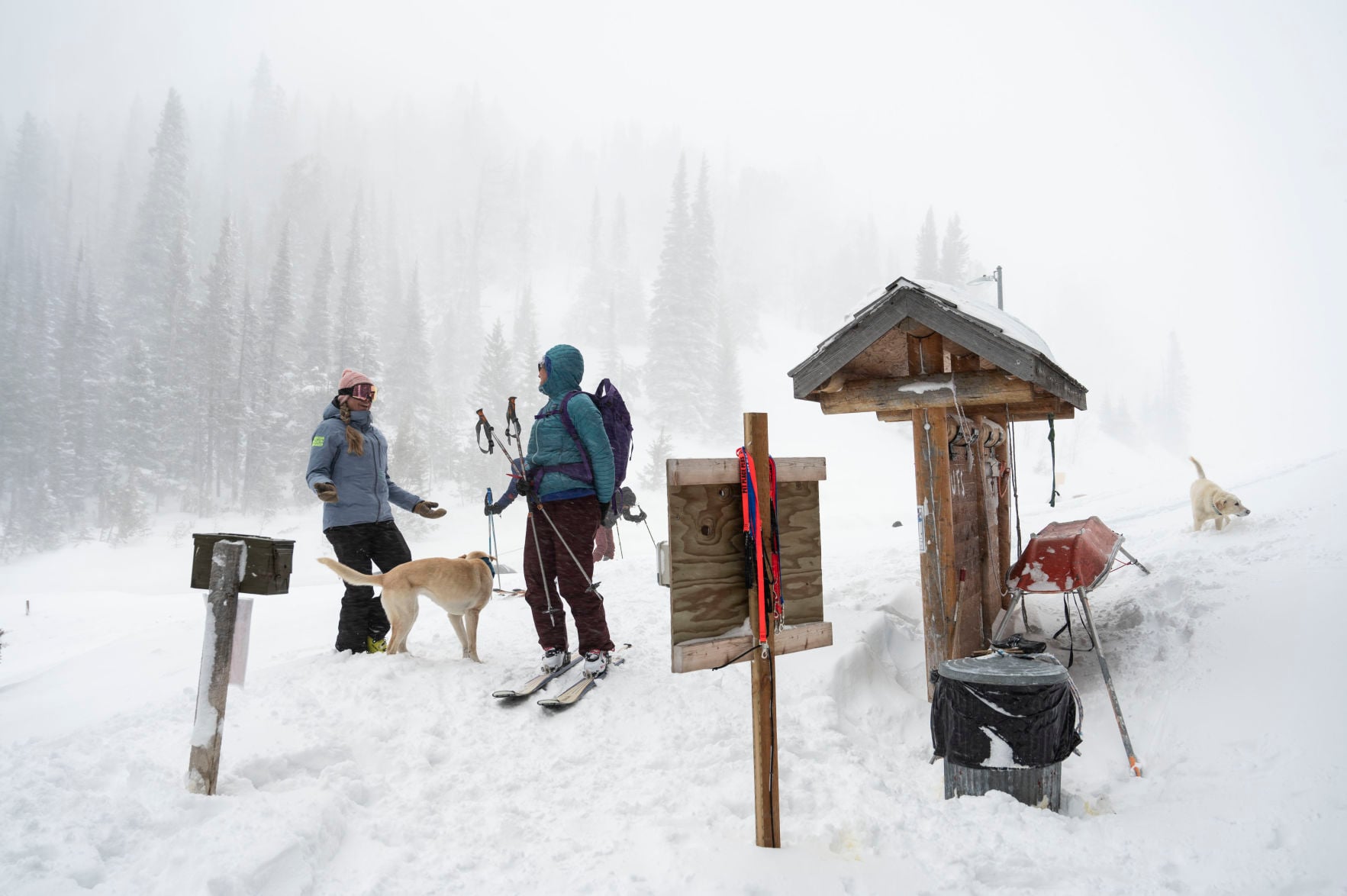 Teton Pass ambassadors pick up Jay Pistono's mantle - Vimarsana News