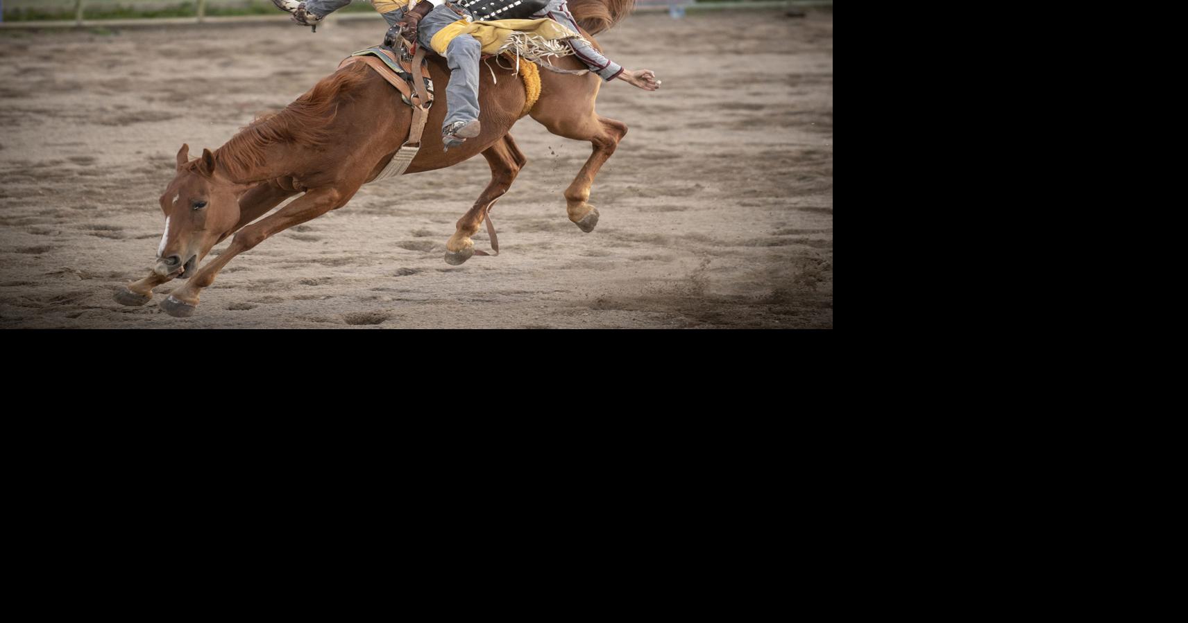 Fast and rough rides | JH Rodeo | jhnewsandguide.com
