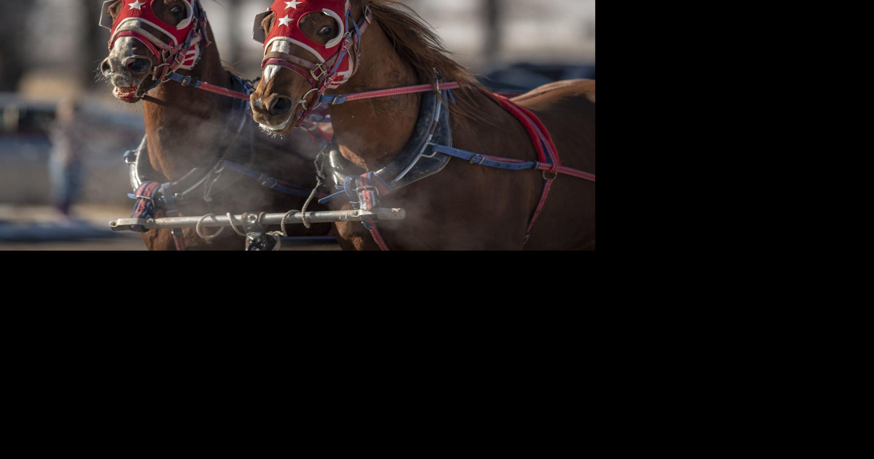 Afton cutter races support families of fallen veterans | Features ...