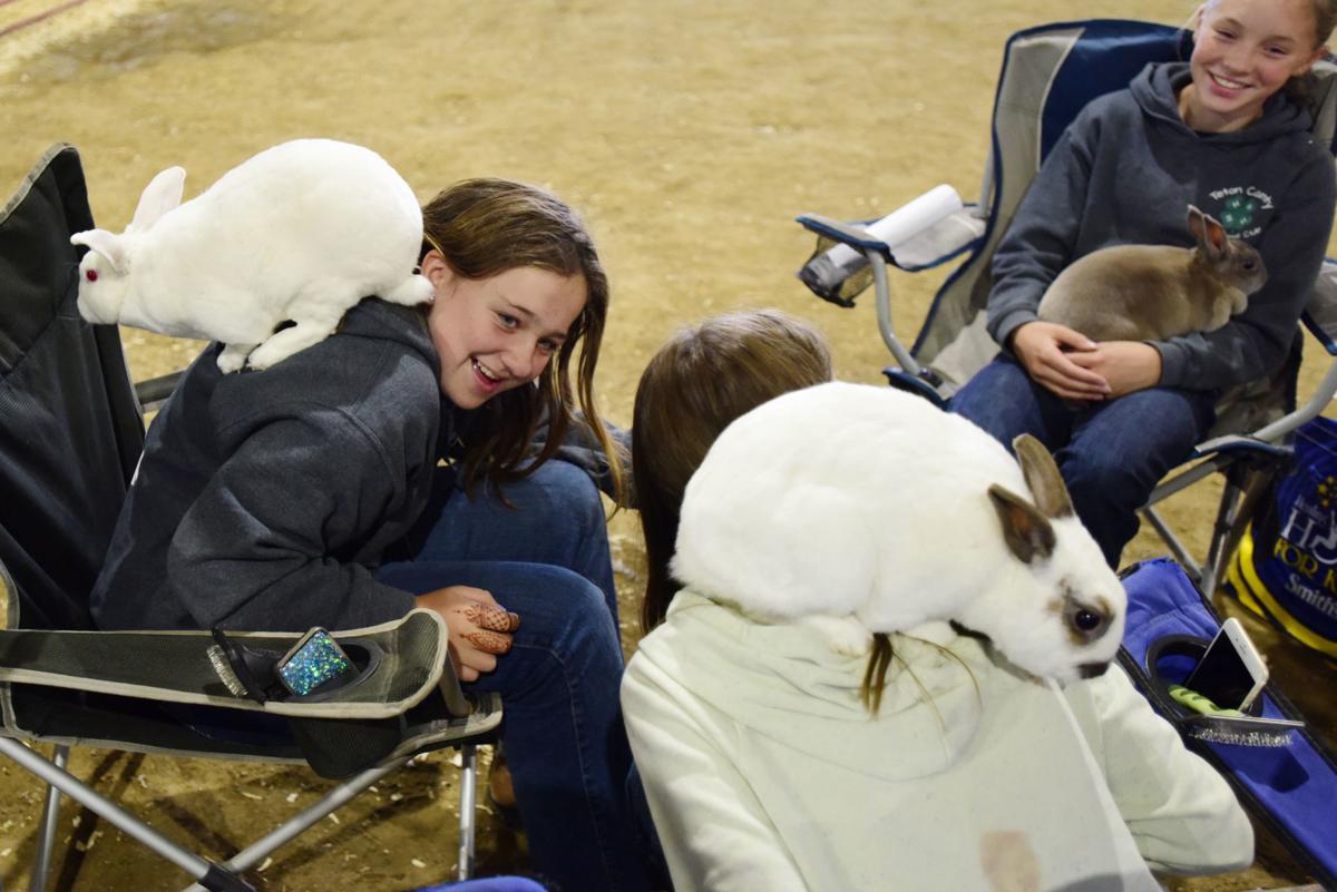 Teton County Fair