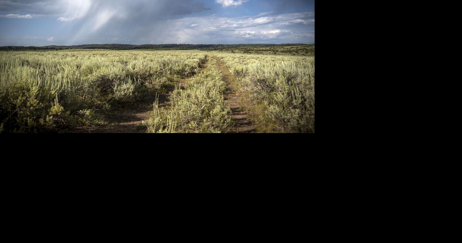 Local Events Billionaire Thomas Tull buys 160 acres of Idaho state trust land near the Tetons for $5M