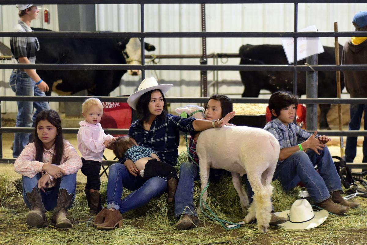 4-H release day