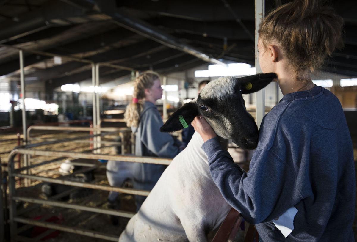 Kids spend last moments with their animals after auction