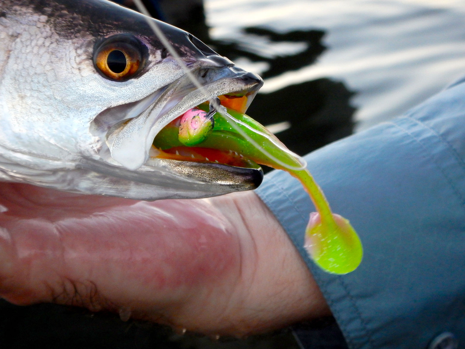 electric chicken jig