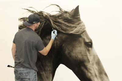 Without Color Artist Focuses On Fine Detail Arts Jhnewsandguide Com Without Color Artist Focuses On Fine Detail Arts Jhnewsandguide Com