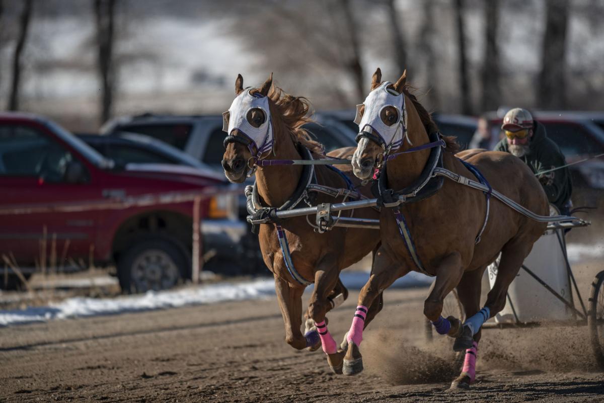 Cutter races