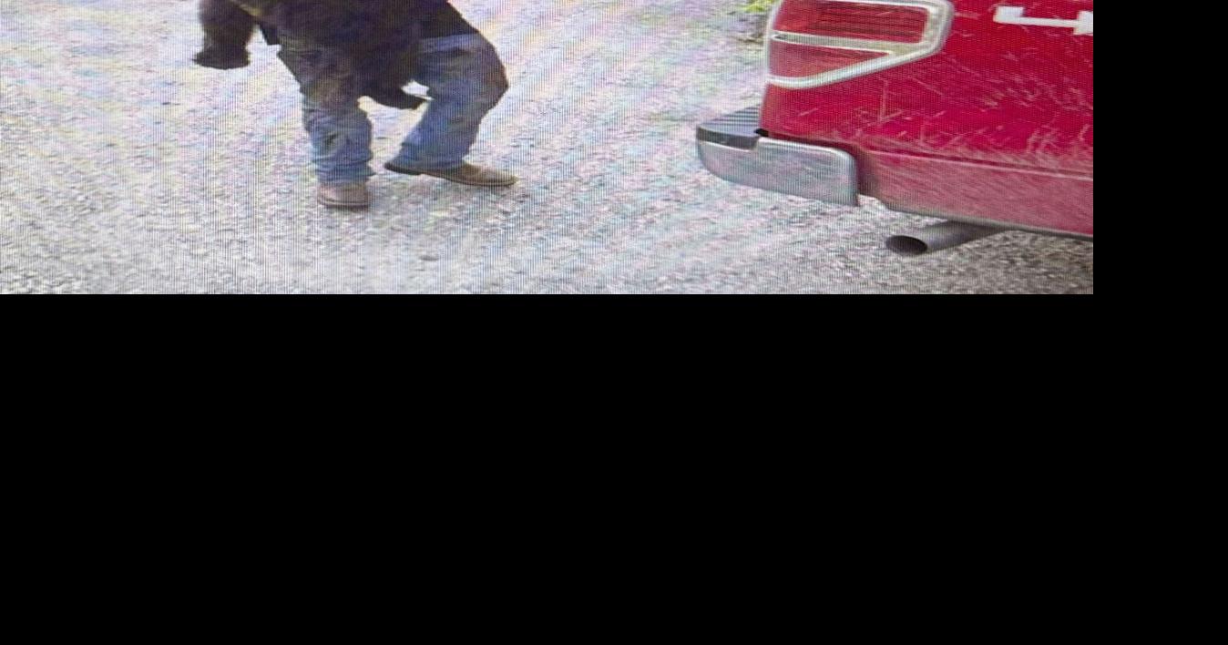 Undercover investigation leads to 16 sweeping charges in Idaho poaching case