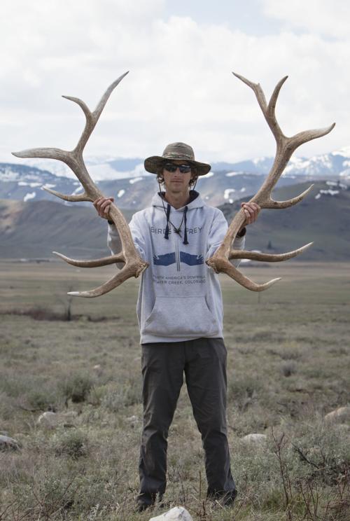 Antler hunt