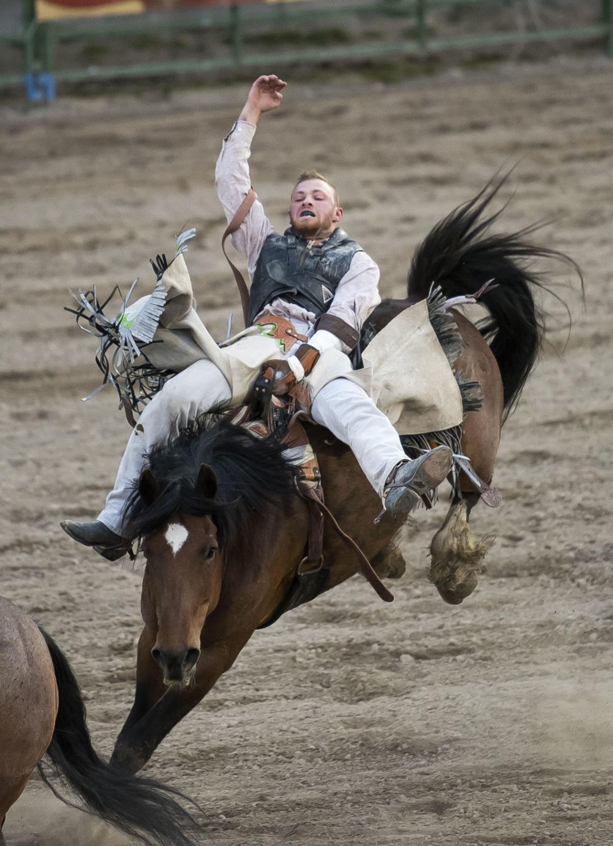 PHOTO GALLERY Jackson Hole Rodeo Galleries