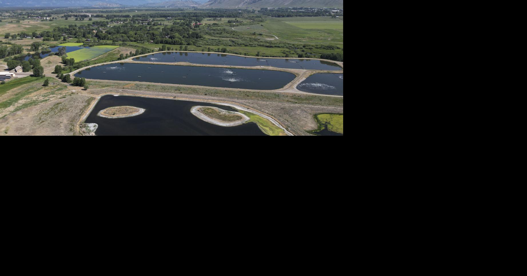 Jackson Hole tracks viruses from the toilet Health jhnewsandguide com