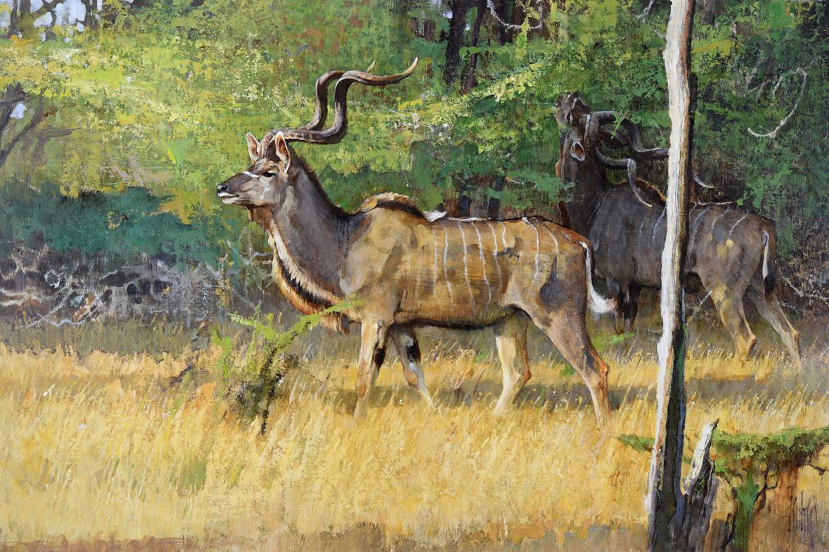 Museum Exhibit Returns To Highlight Wildlife Art S Greats Living And Dead