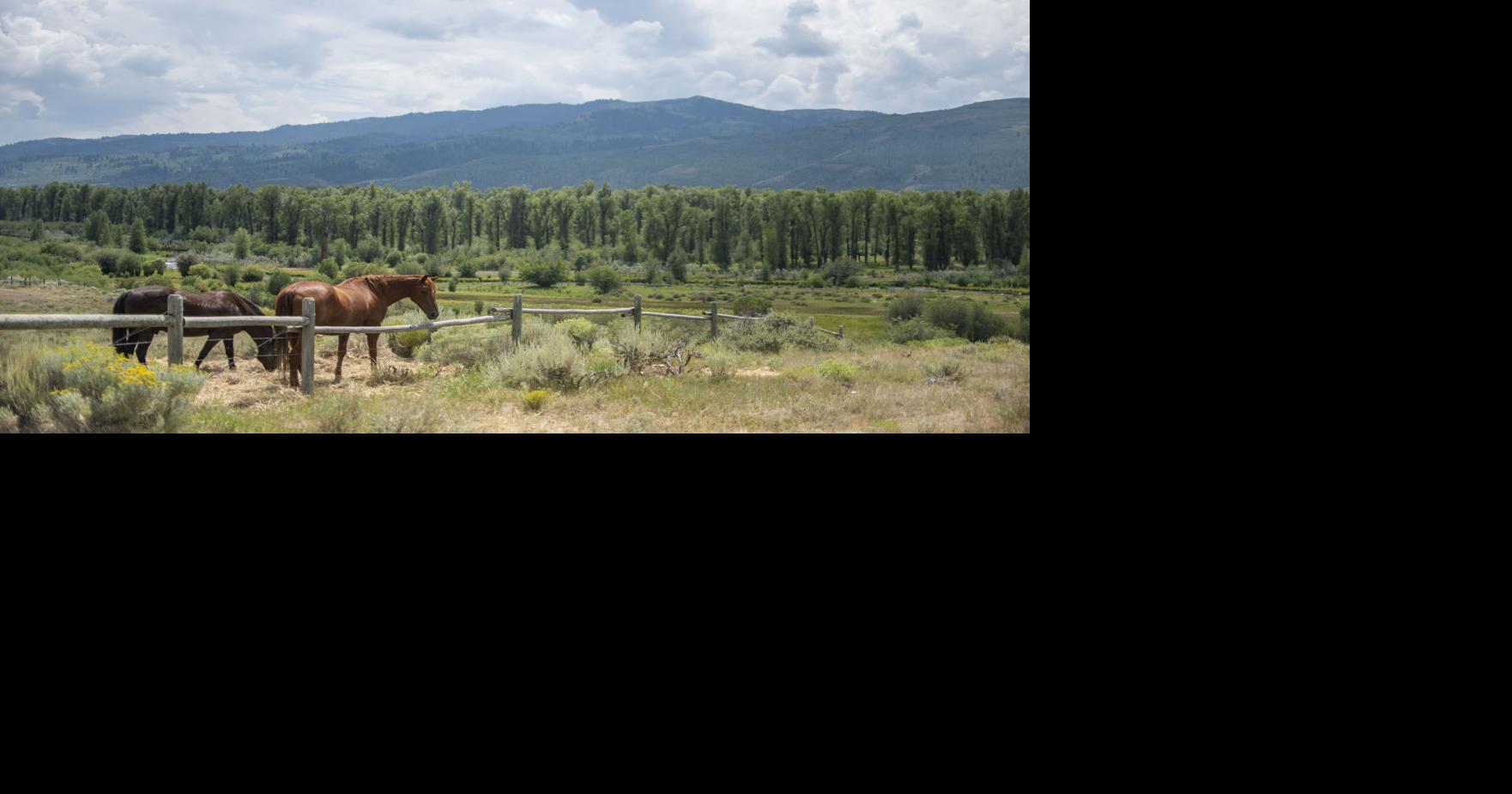 Livestock exemption raised as county rejiggers wildlife fencing regs