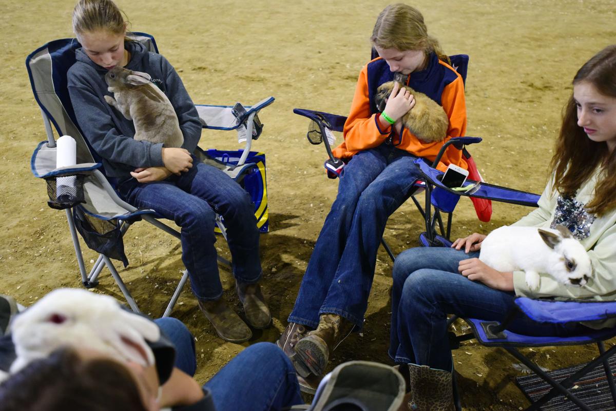 Teton County Fair