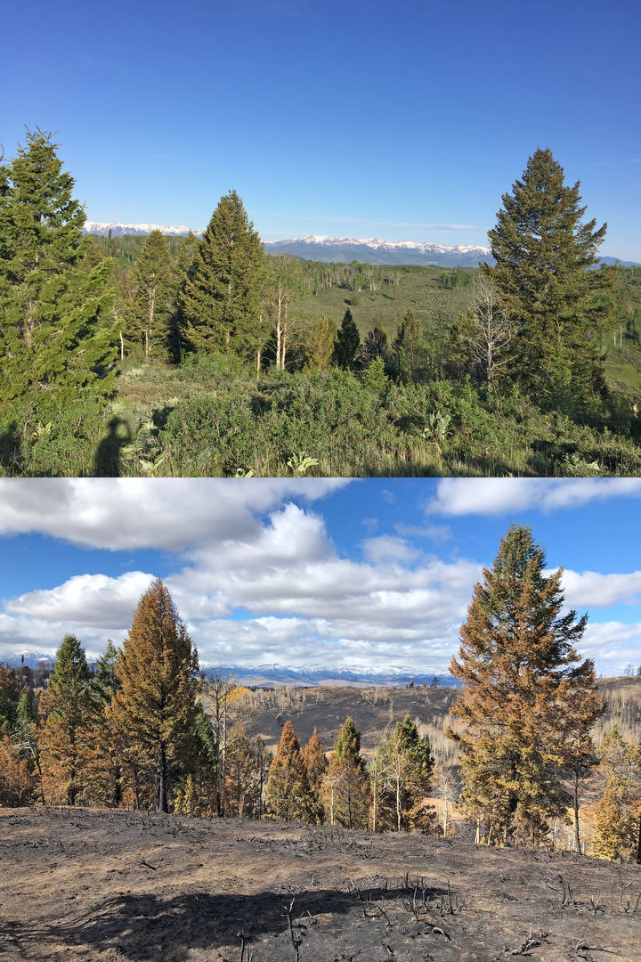 PHOTO GALLERY Hoback Ranches, before and after the Roosevelt Fire