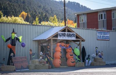 Halloween Headquarters takes Exhibit Hall | Local | jhnewsandguide.com