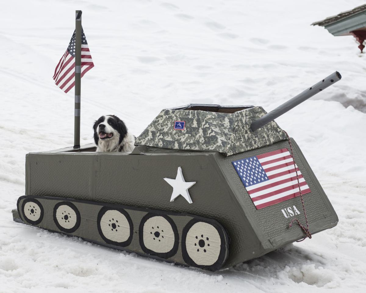 cardboard box derby multimedia