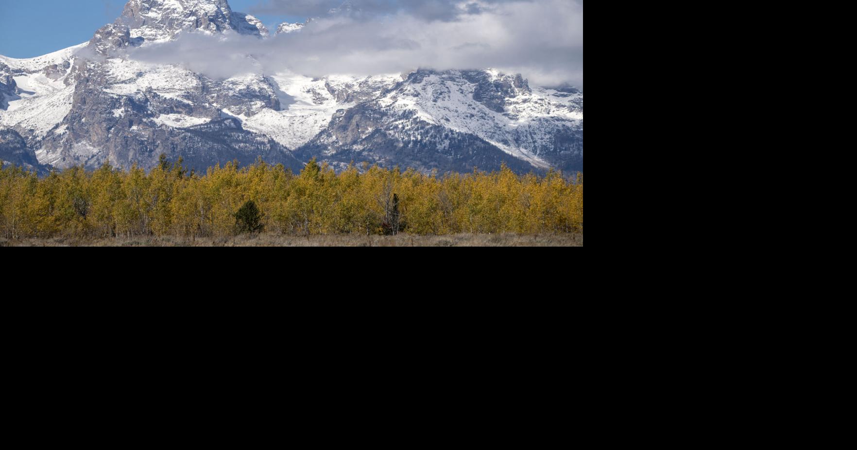 Free park days set Local