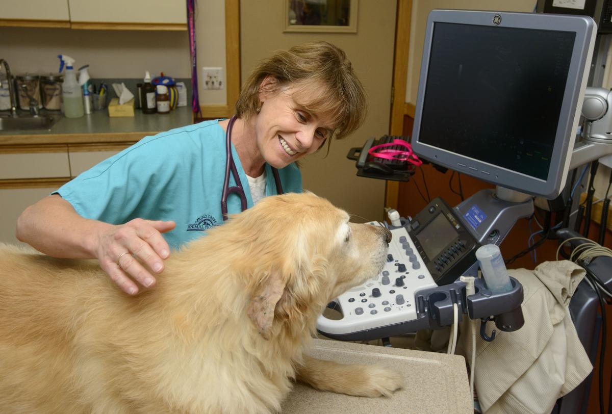 14++ Larue county animal clinic