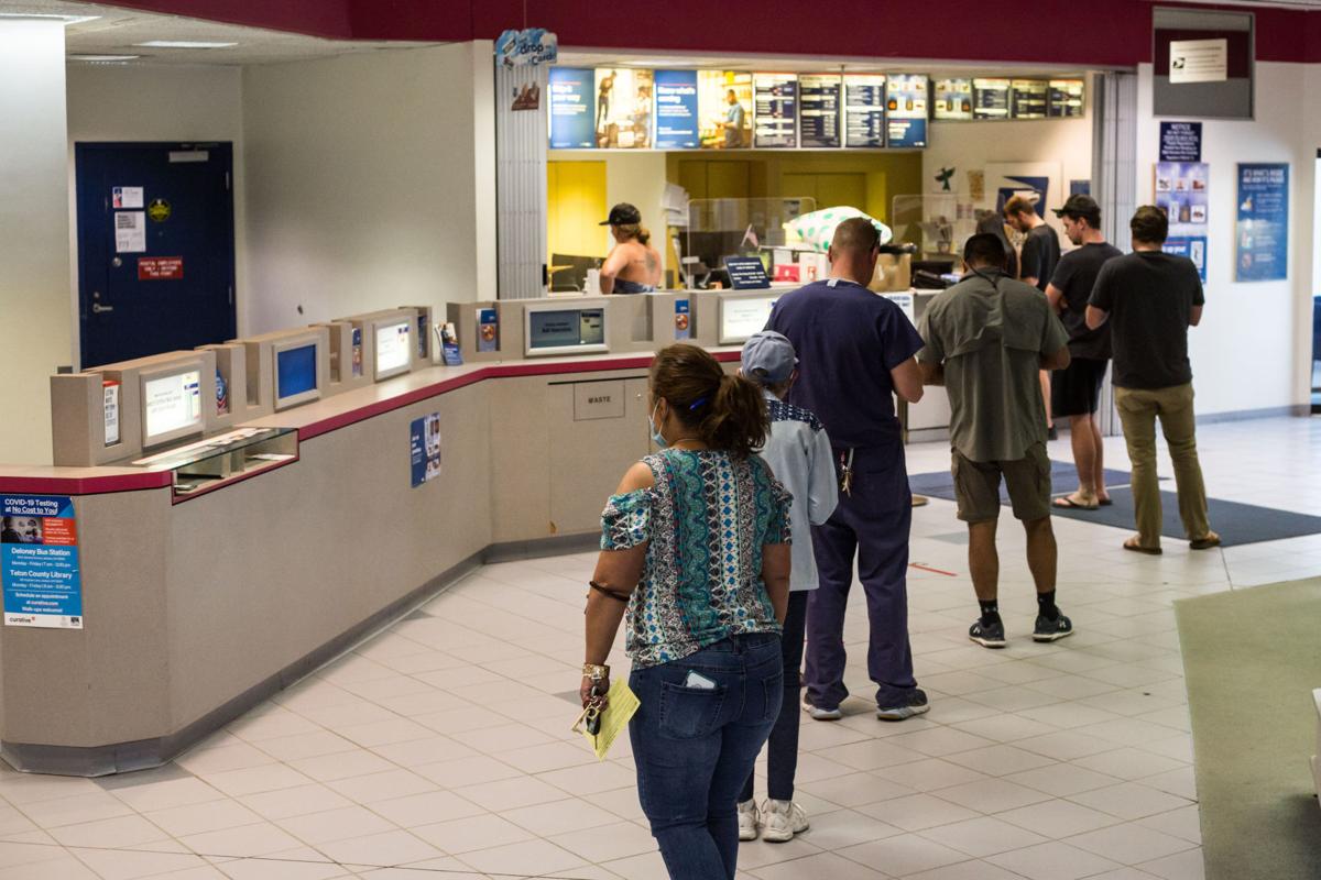 wag n tails studio 53153 hayes rd shelby township mi pet training - mapquest on all american pet resort shelby webcams