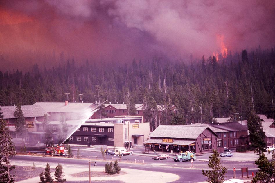 Thirty years after the 1988 Yellowstone fires, living in an era when