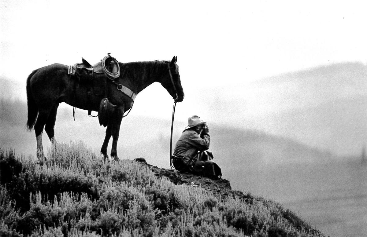 The Hole history Features