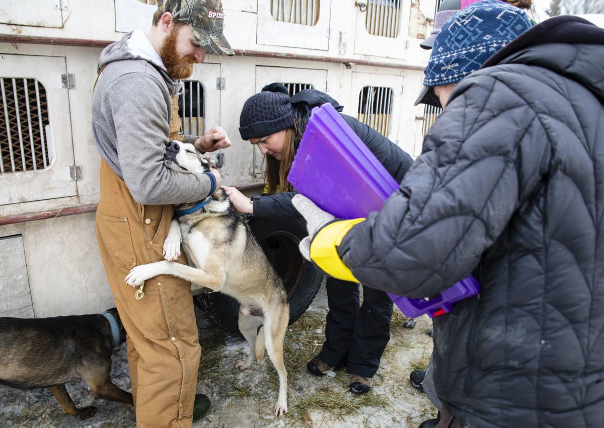 Vet checks before annual Stage Stop race begins