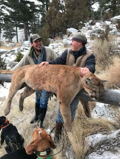 Mountain lion in South Jersey? Hunter's video investigated 