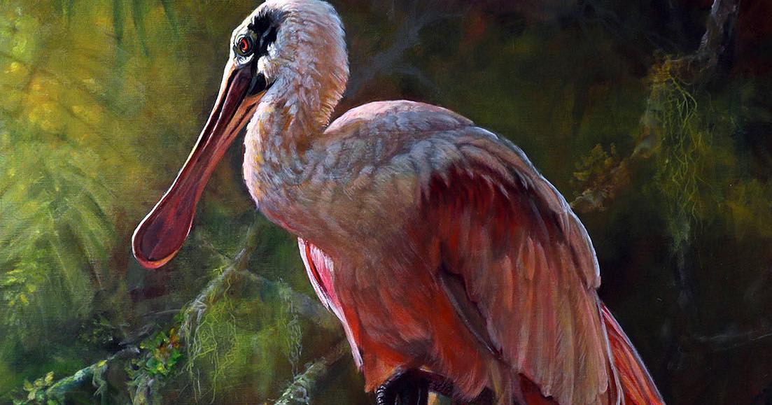 Birds perch for curated show at wildlife museum