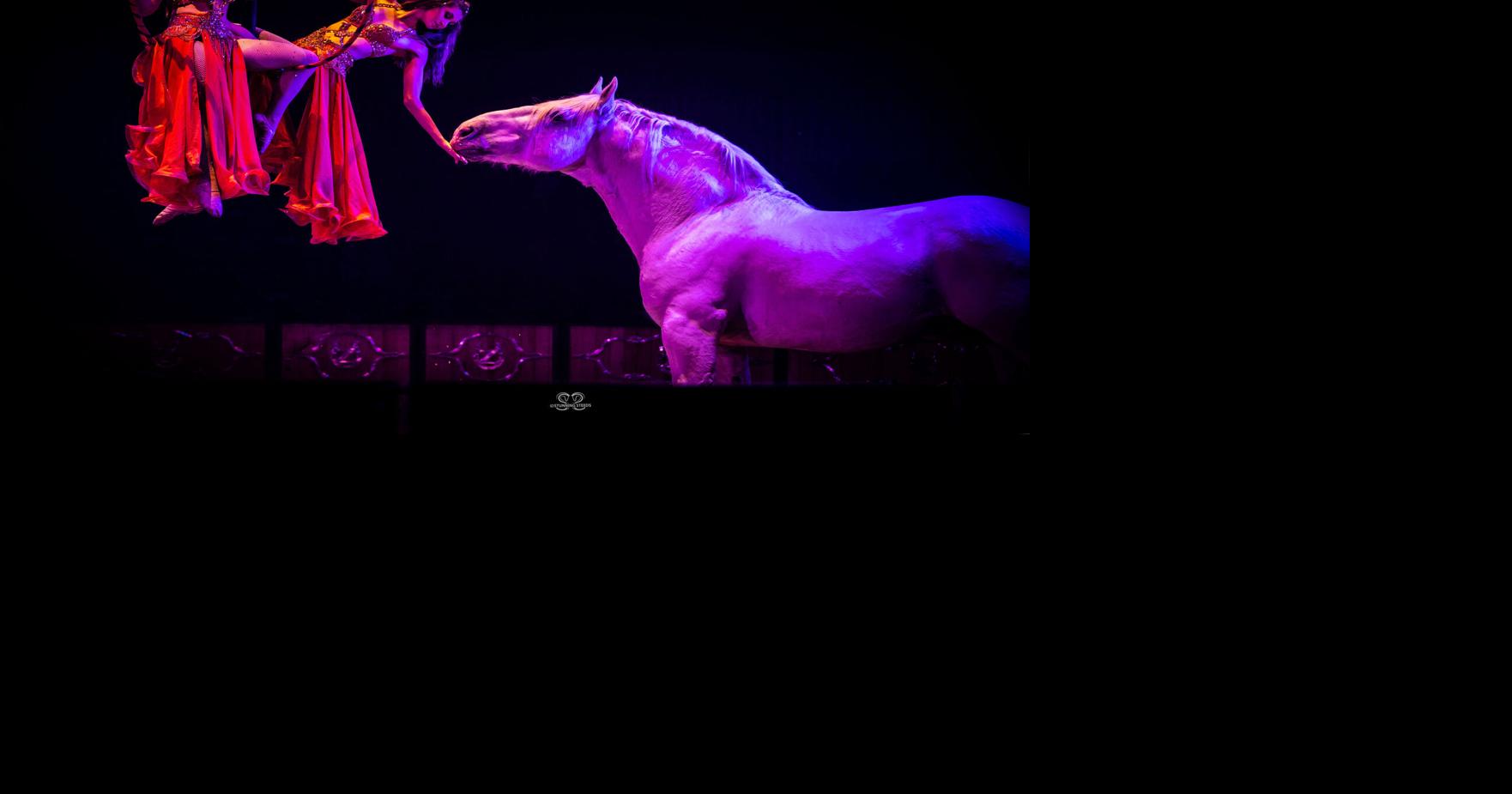 'Circus' celebrates human-equine connection | Events | jhnewsandguide.com