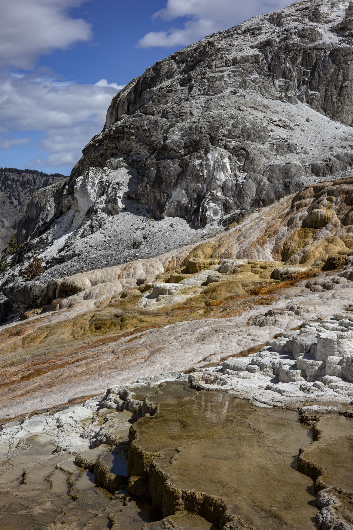 Yellowstone during off-season