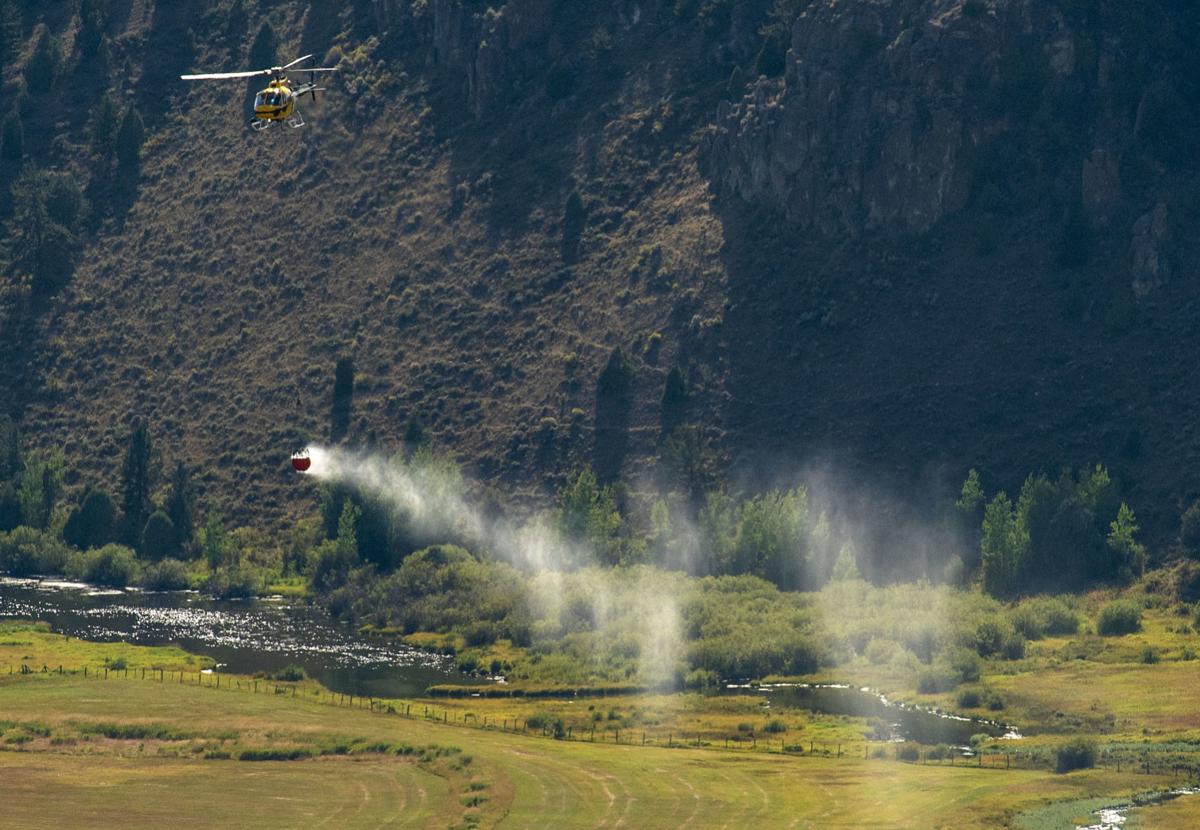 Saddle Butte Fire