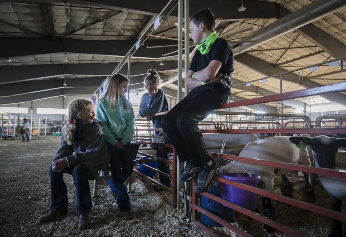 Kids spend last moments with their animals after auction