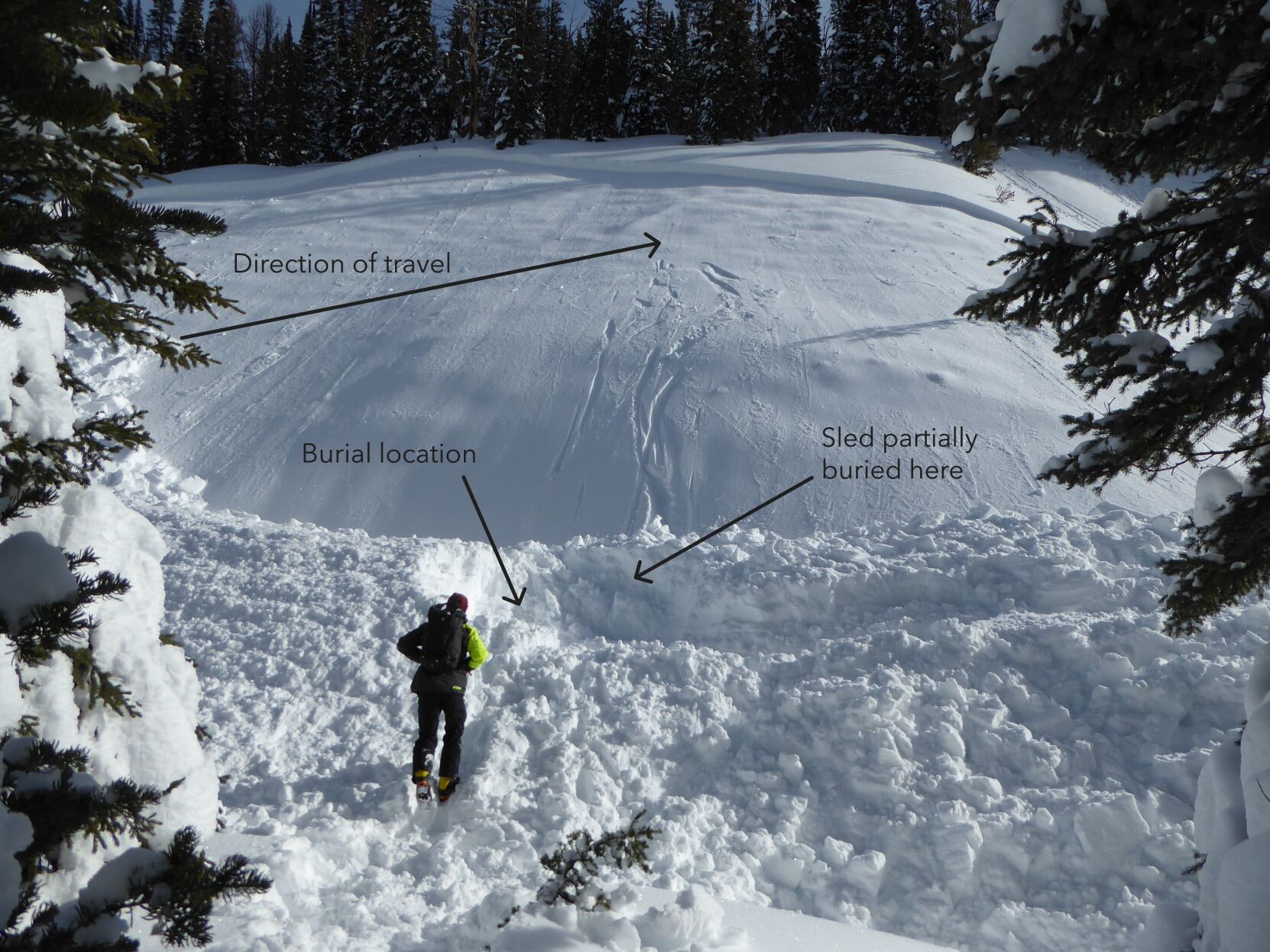 Fatal LaBarge Creek avalanche caused by weak layer present in