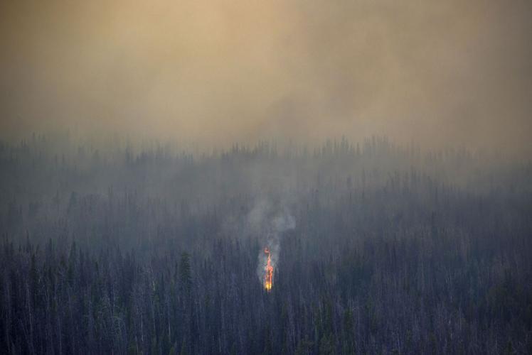 Firefighters slow growth of Fish Creek Fire | Cops & Courts ...