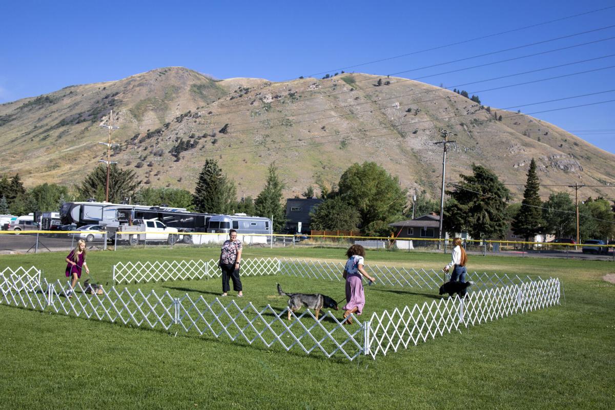 Dog Showmanship