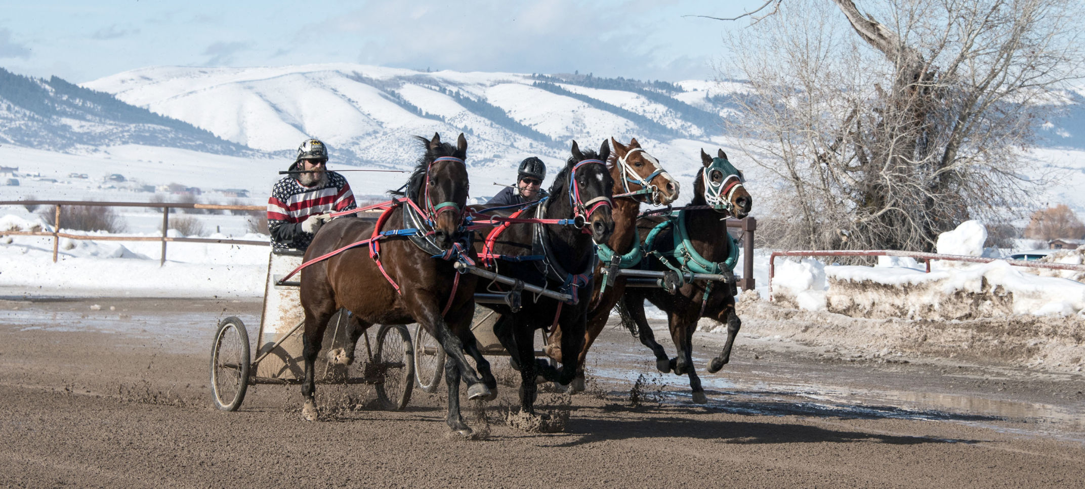 do people in egypt still have chariot races