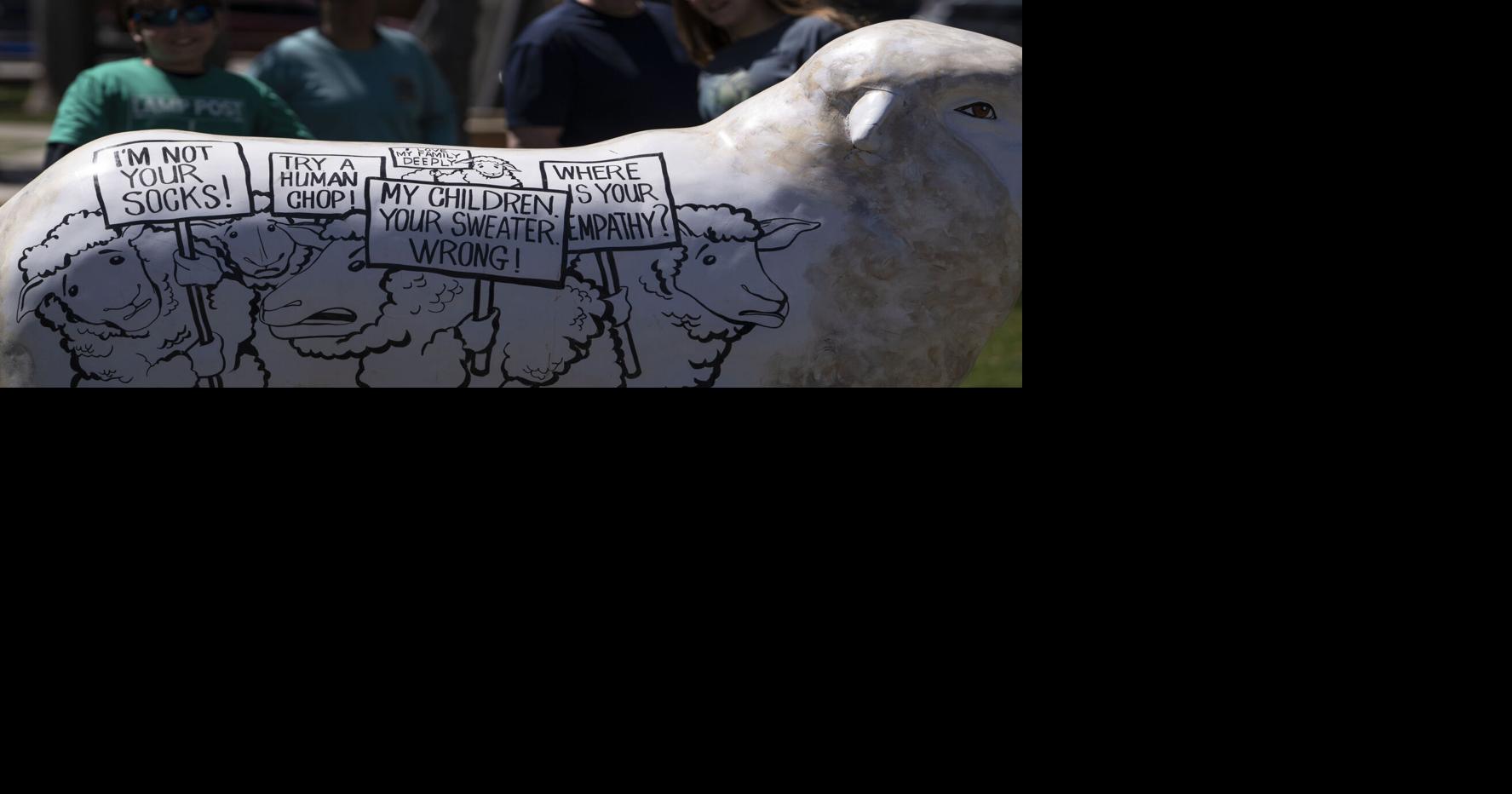 Days after installing protest statue, PETA challenges Jackson Town Council on free speech