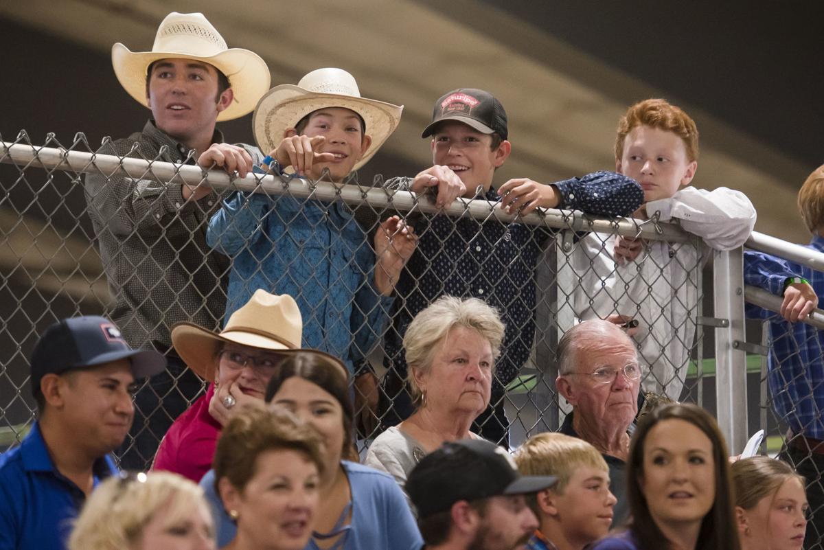 4-H Livestock Auction
