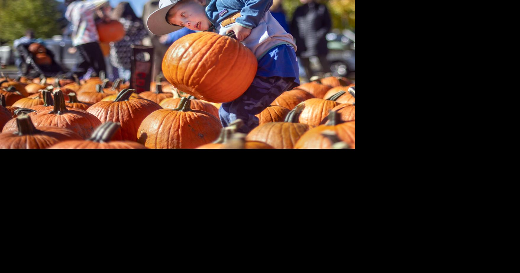 GALLERY: Record pumpkin sale and Pumpkins on Fire | Multimedia ...