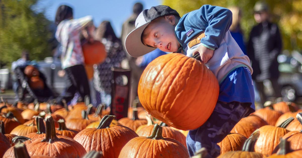 GALLERY: Record pumpkin sale and Pumpkins on Fire | Multimedia ...