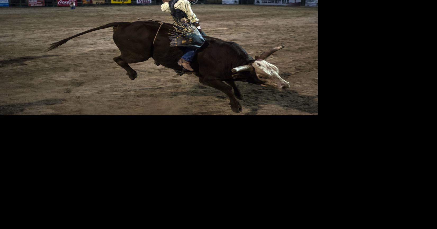 Traveling partners battle for bull riding title at Jackson Hole Rodeo ...
