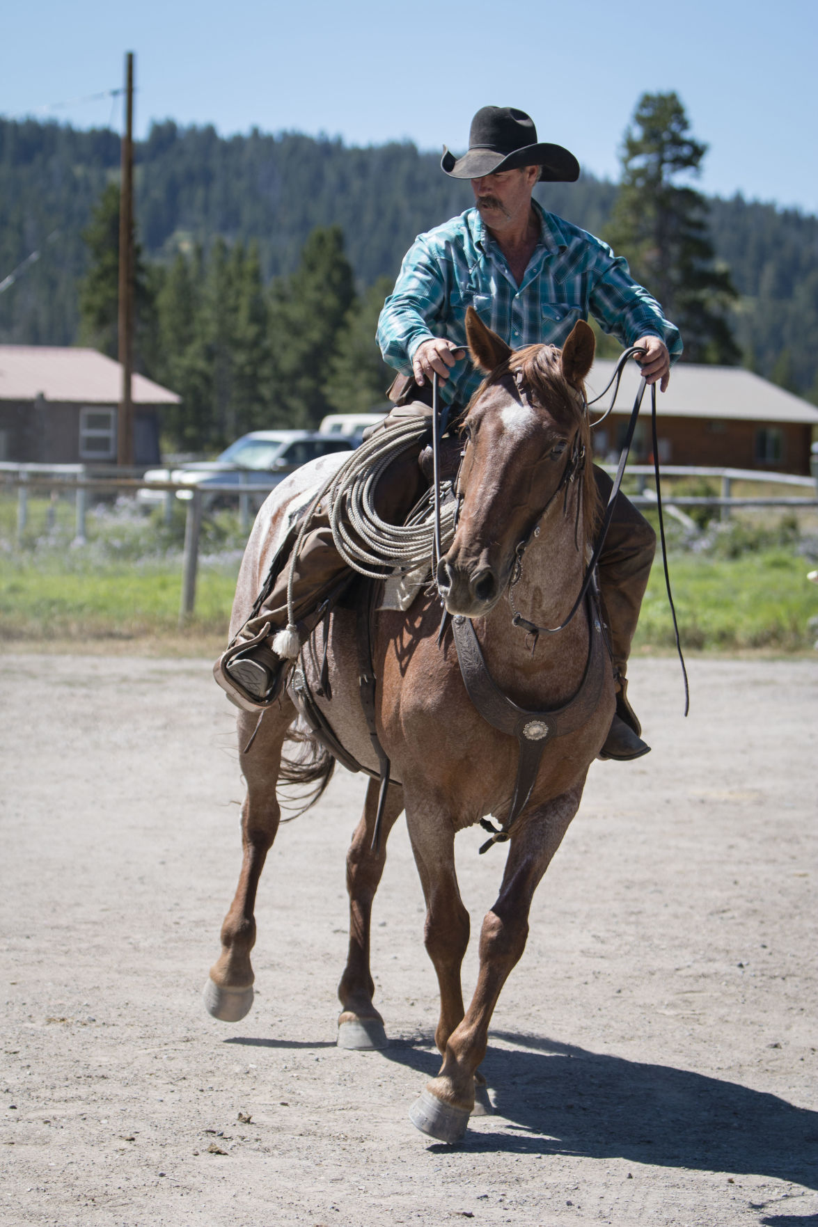 The man behind the Black Rock Ranger District horses, Jack Hatch