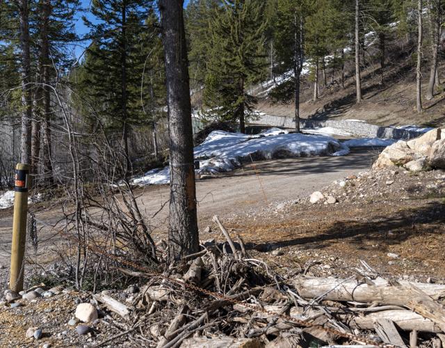 Viehman talks past votes as county planning commissioner Town