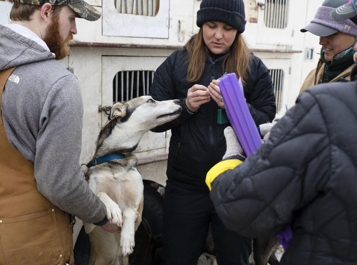 Vet checks before annual Stage Stop race begins