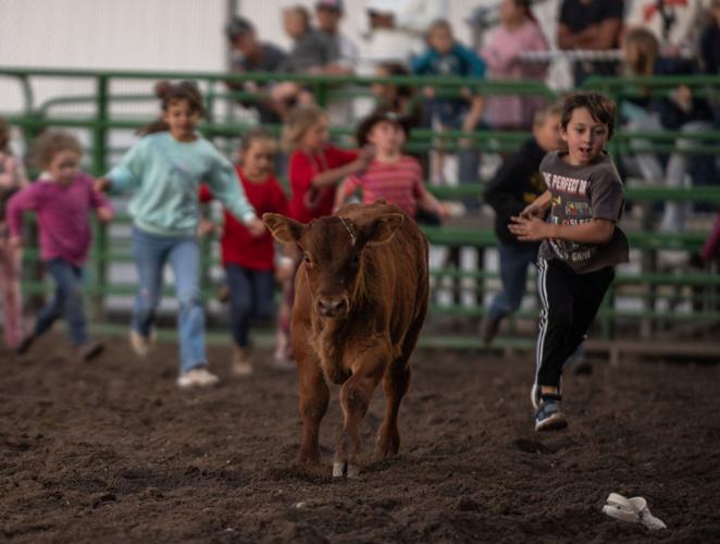 The rescuers' rodeo | Sports Features | jhnewsandguide.com