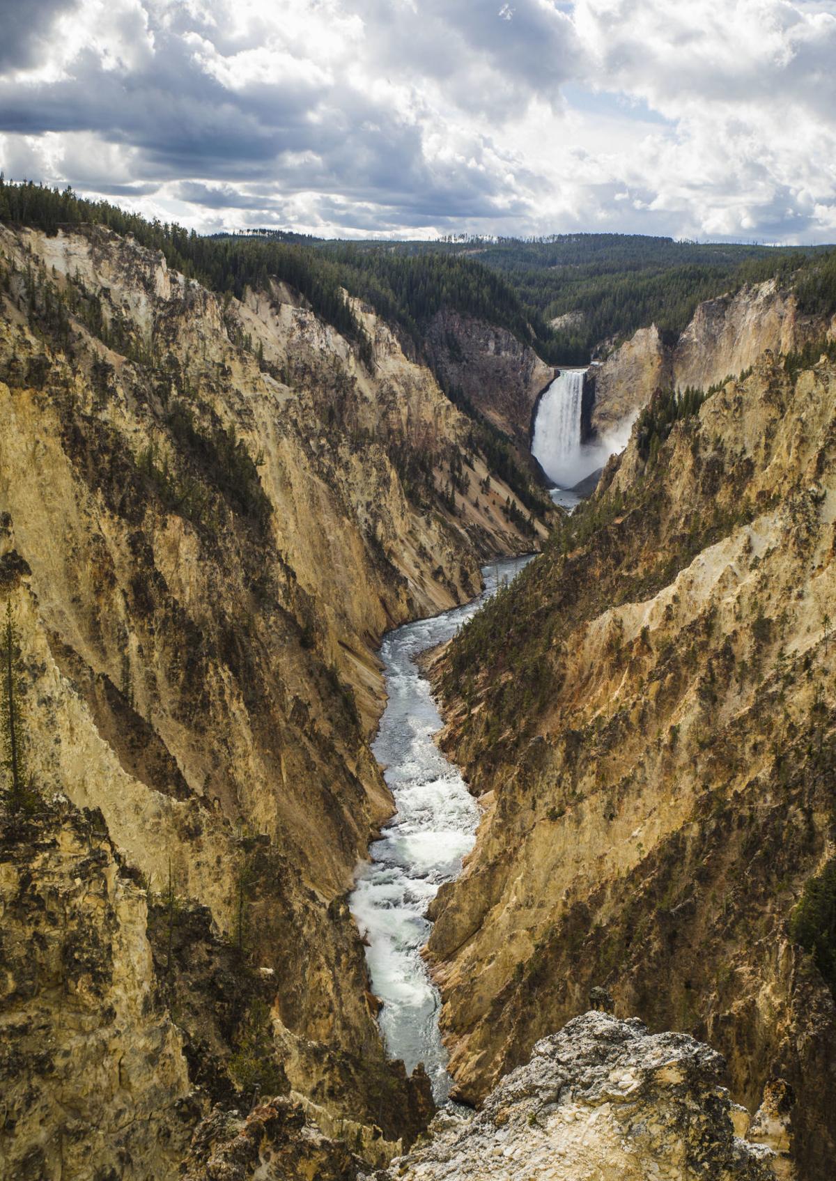 Photo Gallery A Fall Day In Yellowstone National Park