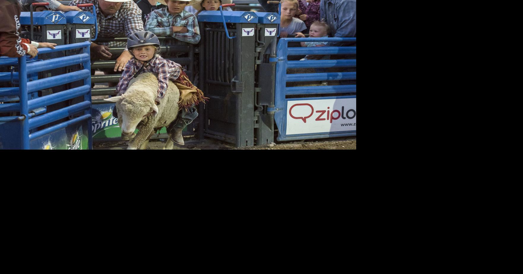 Arizona cowboy makes his mark in bronc riding | Sports Features ...