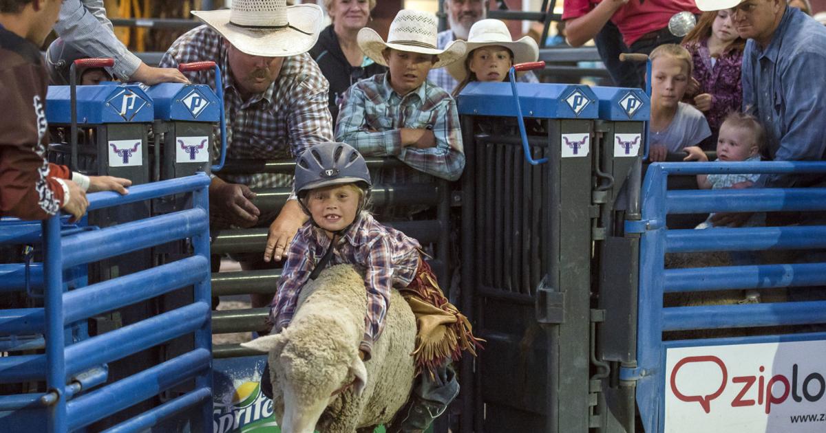 Arizona cowboy makes his mark in bronc riding | Sports Features ...